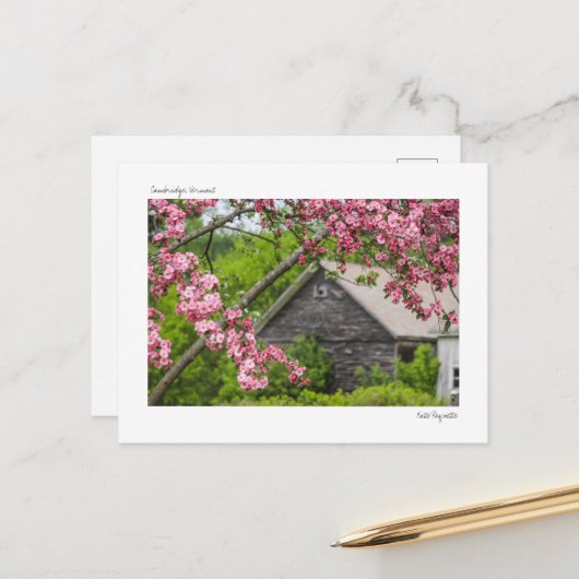 Schuur en bloesems Briefkaart (Voorkant / Achterkant in situ)