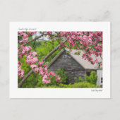 Schuur en bloesems Briefkaart (Voorkant)