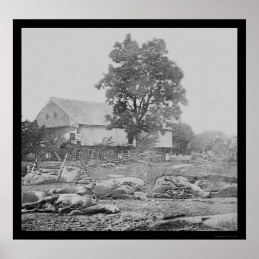 Schuur en paarden in Gettysburg 1863 Poster (Voorkant)