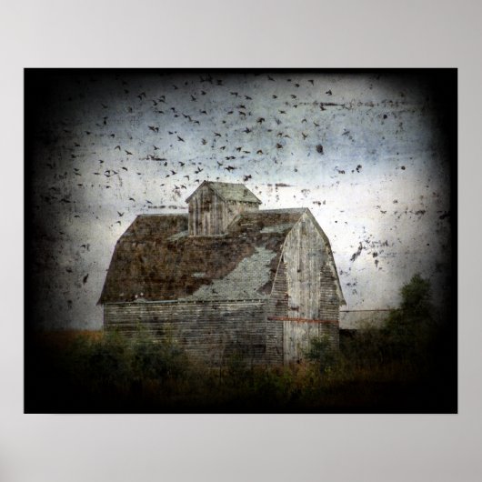 Schuur en Vogels Grunge Poster (Voorkant)