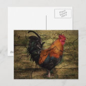 Schuur Hout Boerderij Kip Frans land haan Briefkaart (Voorkant / Achterkant)
