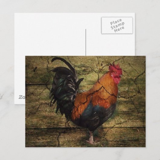 Schuur Hout Boerderij Kip Frans land haan Briefkaart (Voorkant / Achterkant)