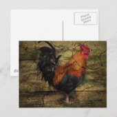 Schuur Hout Boerderij Kip Frans land haan Briefkaart (Voorkant / Achterkant)