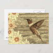 Schuur hout witte daisy franse land kolibrie briefkaart (Voorkant / Achterkant)