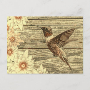 Schuur hout witte daisy franse land kolibrie briefkaart