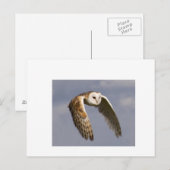 schuur-in-vlucht-klein briefkaart (Voorkant / Achterkant)