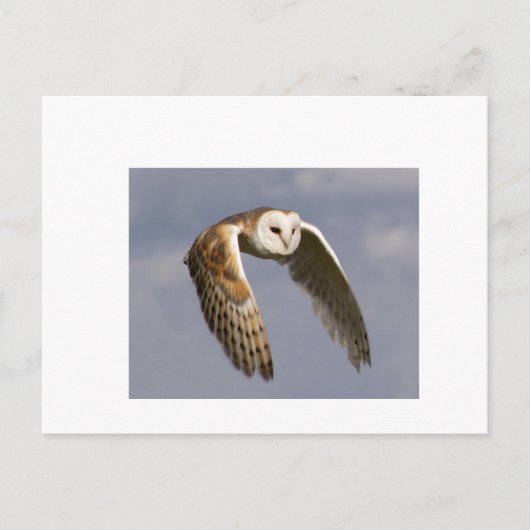 schuur-in-vlucht-klein briefkaart (Voorkant)