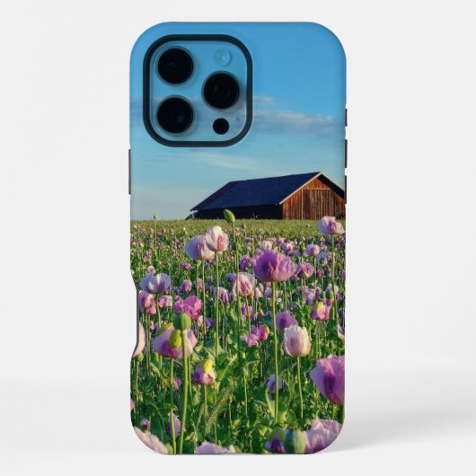 Schuur iPhone Hoesje (Achterkant)
