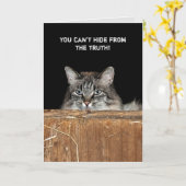 Schuur Kat in hooi loft verjaardag Kaart (Gele Bloem)