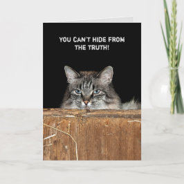 Schuur Kat in hooi loft verjaardag Kaart
