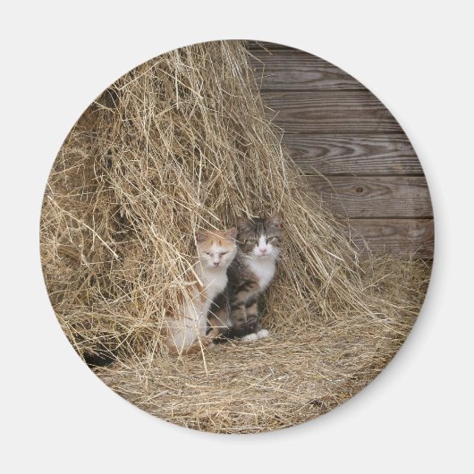 Schuur kat magneet (Voorkant)