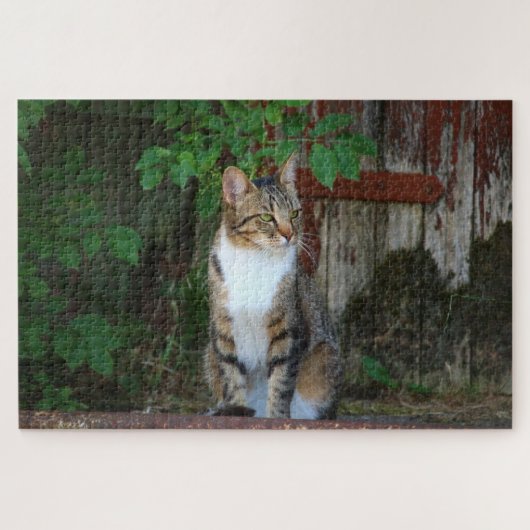 schuur kat puzzel  (Horizontaal)