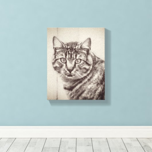 Schuur Kattenboerderij Dieren 8 x 10 Canvas Afdruk (Insitu (Houten vloer))