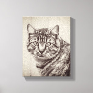 Schuur Kattenboerderij Dieren 8 x 10 Canvas Afdruk