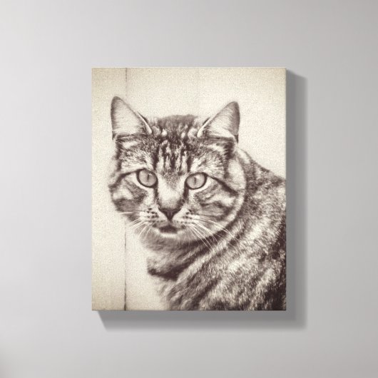 Schuur Kattenboerderij Dieren 8 x 10 Canvas Afdruk (Voorkant)