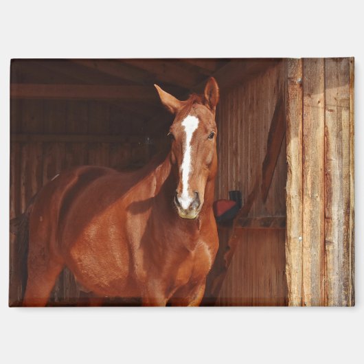 schuur paard magneet (Voorkant)