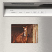 schuur paard magneet (Insitu (Vaatwasser))