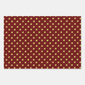 Schuur Red Bourgogne en Turquoise Inpakpapier Vel (Voorkant 3)