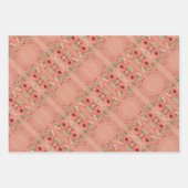 Schuur Rood en koraal Gift Wrap Inpakpapier Vel (Voorkant 3)