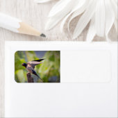 Schuur Slik Adresetiketten Etiket (Insitu)