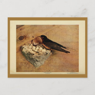 schuur slik kleur litho foto briefkaart