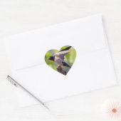 Schuur slikken Stickers (Envelop)