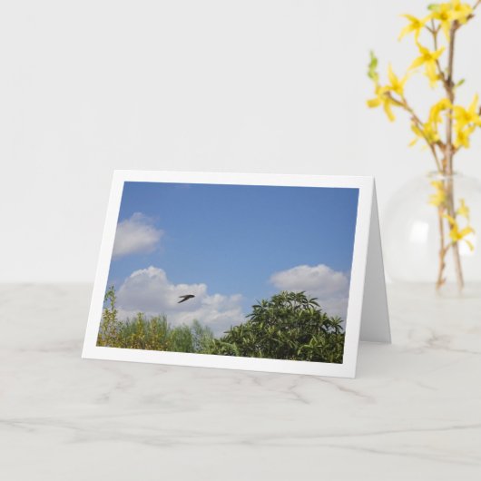 Schuur Swallow Landportret Kaart (Gele Bloem)