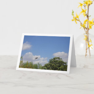 Schuur Swallow Landportret Kaart