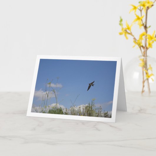 Schuur Swallow Landportret Kaart (Gele Bloem)