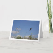 Schuur Swallow Landportret Kaart (Voorkant)