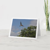 Schuur Swallow Portret Kaart (Voorkant)