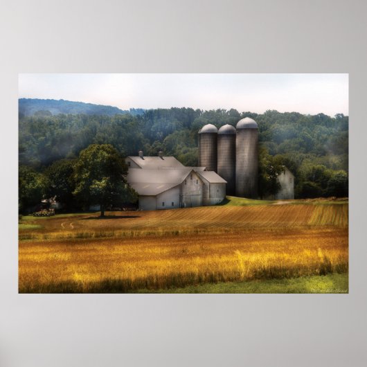 Schuur - Thuis op het land Poster (Voorkant)