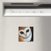 SCHUUR UIL CLOSE UP magneet (Insitu (Vaatwasser))