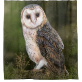 Schuur Uil Douche Gordijn - Schilderij (Voorkant)