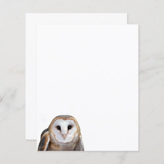 Schuur Uil foto briefpapier papier (Voorkant / Achterkant)