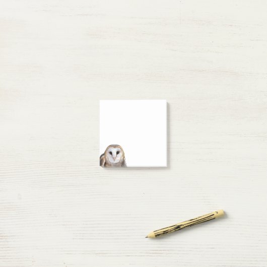 Schuur Uil Foto Post-it Notities Briefpapier Post-it® Notes (Op bureau)
