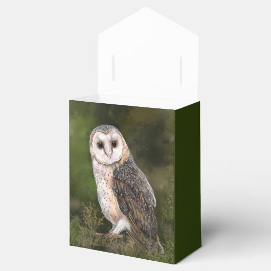 Schuur Uil gunst Boxen Bedankdoosjes (Geopend)