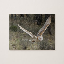 Schuur Uil Jigsaw Puzzel