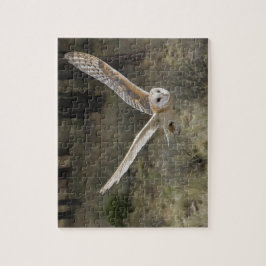 Schuur Uil Jigsaw Puzzel