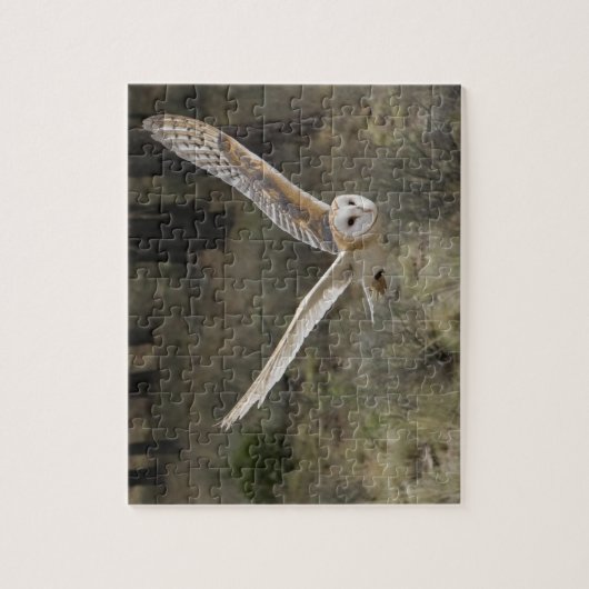 Schuur Uil Jigsaw Puzzel (Verticaal)