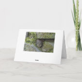 Schuur uil vliegen in de sneeuw kaart (Achterkant)