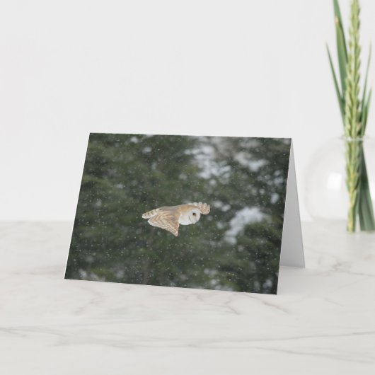 Schuur uil vliegen in de sneeuw kaart (Voorkant)