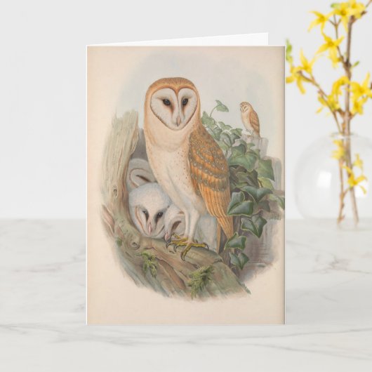  Schuur Uil Vogel Blank Note Kaart (Gele Bloem)