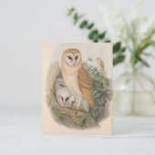  Schuur Uil Vogel Briefkaart (Staand voorkant)