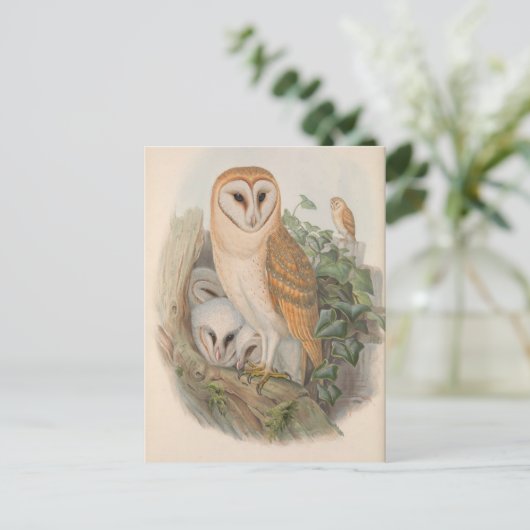  Schuur Uil Vogel Briefkaart (Staand voorkant)