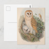  Schuur Uil Vogel Briefkaart (Voorkant / Achterkant)