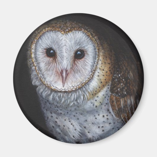 Schuur Uil Vogel Originele Schilderkunst Magneet (Voorkant)