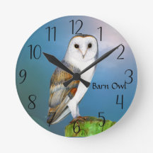 Schuur Uil Vogel Waterverf Schilderij Horloge