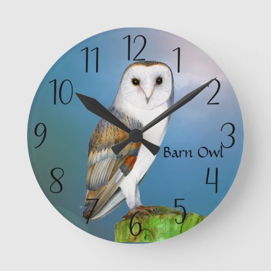 Schuur Uil Vogel Waterverf Schilderij Horloge Ronde Klok (Voorkant)