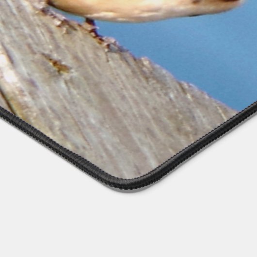 Schuur Zwaluw bureaumat (Hoek)